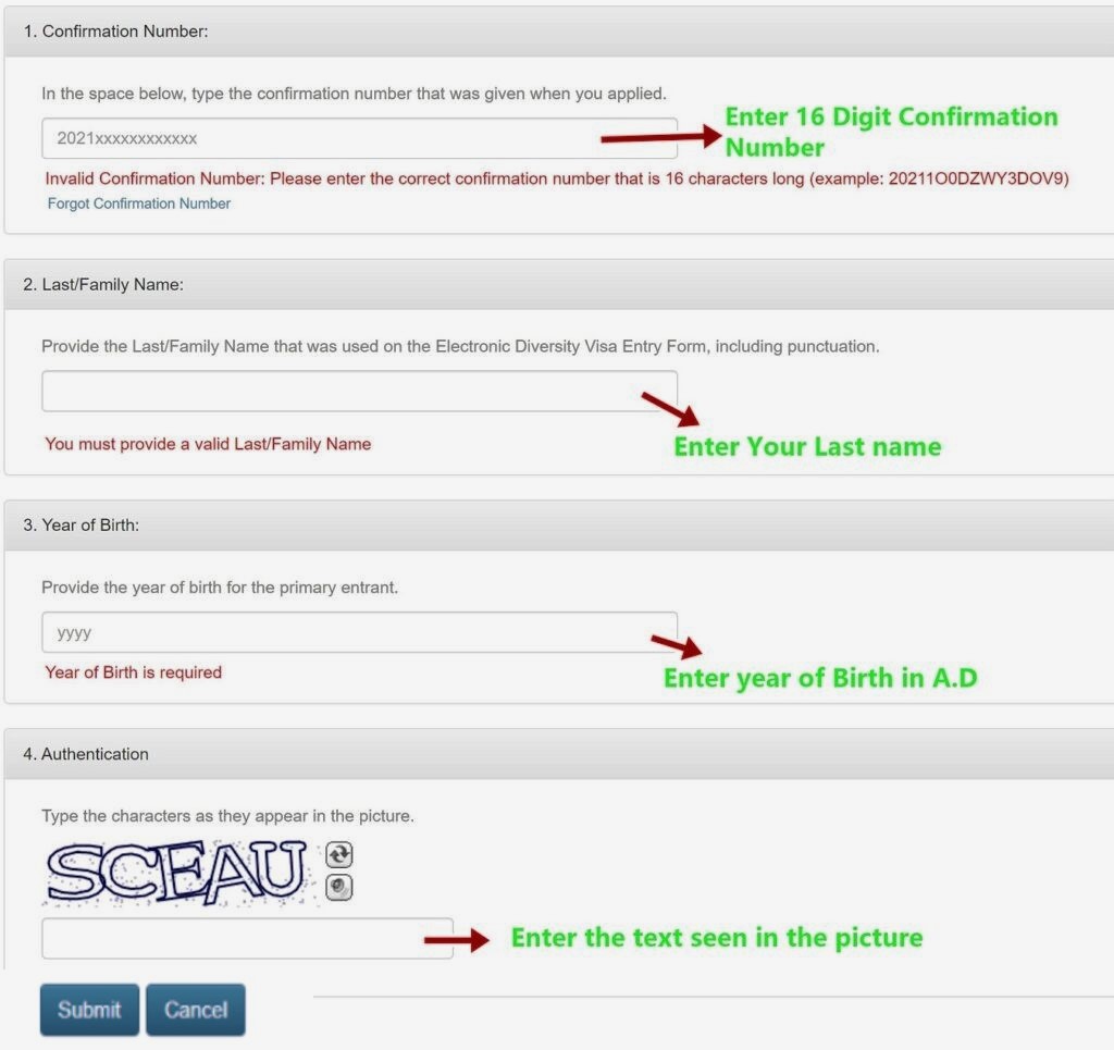 How to Check DV 2025 Result from Ireland